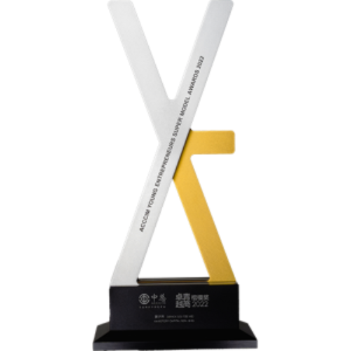 young-enterpreneurship-awards