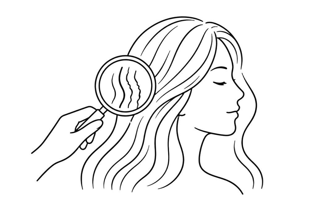 Hair assessment